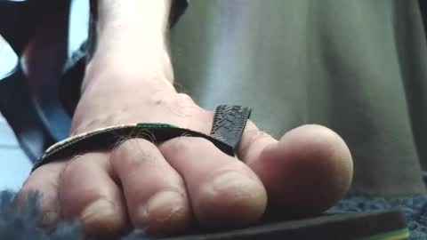 Snapshot of fredthetom12 chatting on February 4, 2026, 2:45 pm Greedy Fred online show from February 4, 2026, 2:45 pm