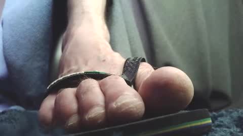 Snapshot of fredthetom12 chatting on February 18, 2026, 2:13 pm Greedy Fred online show from February 18, 2026, 2:13 pm