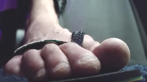 Snapshot of fredthetom12 chatting on February 20, 2026, 2:30 am Greedy Fred online show from February 20, 2026, 2:30 am