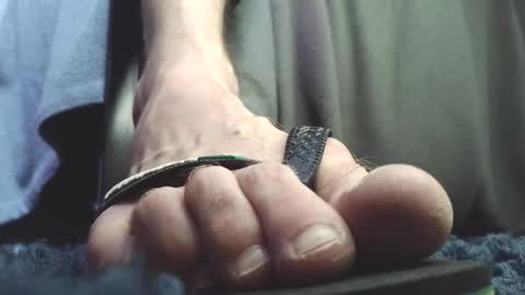 Snapshot of fredthetom12 chatting on February 23, 2026, 2:47 pm Greedy Fred online show from February 23, 2026, 2:47 pm