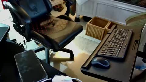 freespirt2 online show from November 1, 2025, 3:08 am