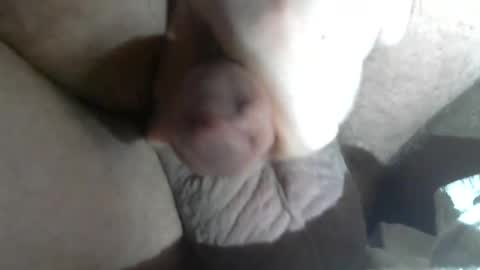 Call me Daddy online show from February 5, 2025, 7:07 am