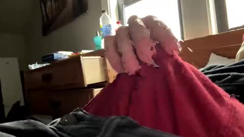 freezeskiii online show from November 18, 2025, 7:51 pm