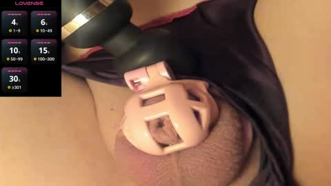 Meadow online show from January 11, 2025, 12:29 pm