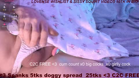 Meadow online show from February 22, 2026, 11:09 am