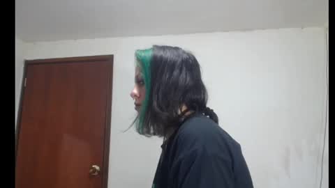 Snapshot of freyaa_sorceress chatting on January 27, 2025, 6:41 am freyaa_sorceress online show from January 27, 2025, 6:41 am