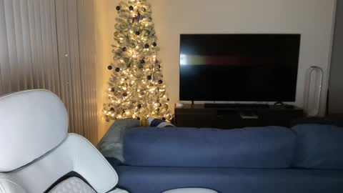 ftl7forfun online show from December 2, 2024, 6:52 am