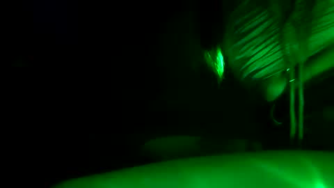 fu338208 online show from October 30, 2025, 12:17 pm