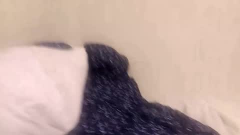 fuckmee12334wq online show from March 9, 2026, 1:42 am