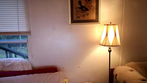 fuckmypussyplz1 online show from October 20, 2025, 1:00 pm