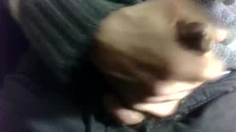 Snapshot of fuckyourbaby69 chatting on January 2, 2025, 8:24 pm tugatito online show from January 2, 2025, 8:24 pm