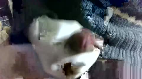 Snapshot of fuckyourbaby69 chatting on February 14, 2025, 9:13 am tugatito online show from February 14, 2025, 9:13 am