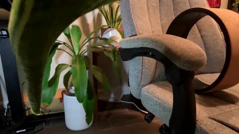 fuklicious online show from January 19, 2025, 3:39 am