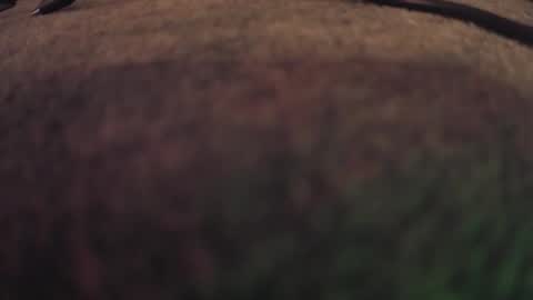 Snapshot of fumymo chatting on January 7, 2026, 8:22 pm fumymo online show from January 7, 2026, 8:22 pm