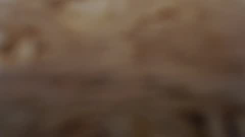 funcat01 online show from February 3, 2026, 3:04 am