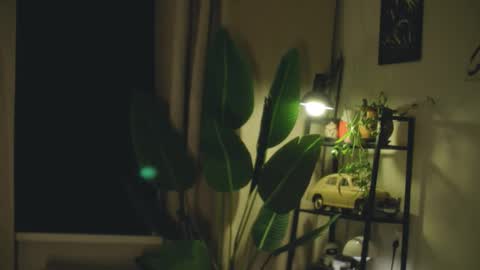 Snapshot of g_ia chatting on February 26, 2026, 7:24 pm G online show from February 26, 2026, 7:24 pm