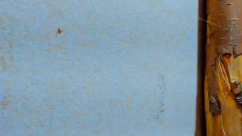 gabo_horny01 online show from July 20, 2026, 8:33 pm