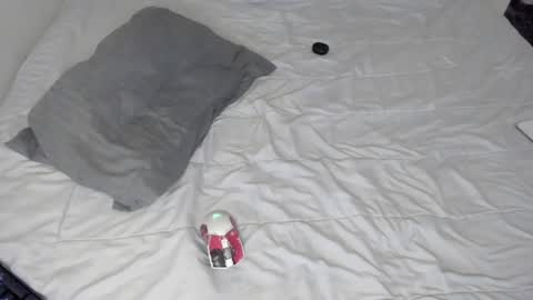 Snapshot of gabriel_olx chatting on January 24, 2025, 9:28 am gabriel online show from January 24, 2025, 9:28 am