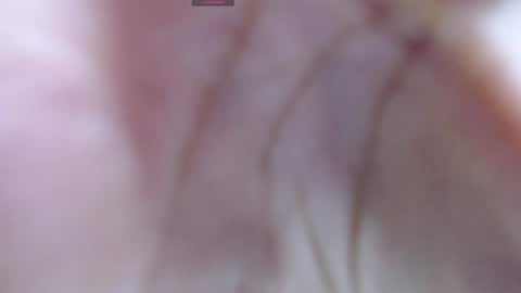 Snapshot of gabriela_morales01 chatting on December 12, 2024, 5:31 am . online show from December 12, 2024, 5:31 am