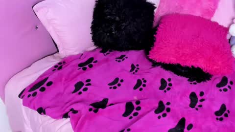 Snapshot of gabyye_capprins chatting on February 8, 2025, 10:19 pm gabyye capprins online show from February 8, 2025, 10:19 pm