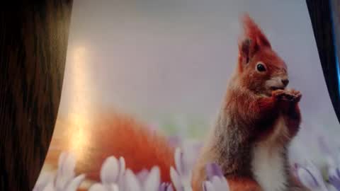 Snapshot of galera100 chatting on March 3, 2026, 8:31 am galera100 online show from March 3, 2026, 8:31 am