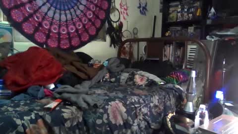 Gardenia online show from December 17, 2025, 4:51 am