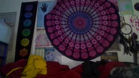 Gardenia online show from February 5, 2026, 8:08 am