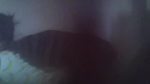 Snapshot of gasielah chatting on January 27, 2025, 1:19 pm gasielah online show from January 27, 2025, 1:19 pm