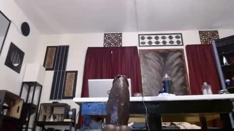 gatewaylaptop2019 online show from April 19, 2026, 6:10 pm