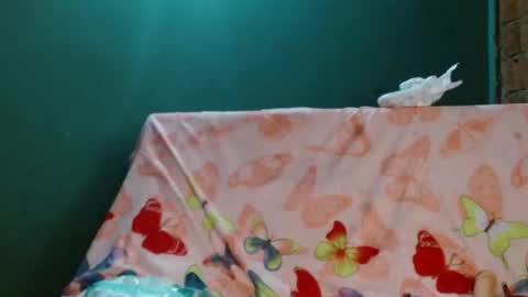 Snapshot of gatita_1997 chatting on November 10, 2025, 9:52 am estrella online show from November 10, 2025, 9:52 am