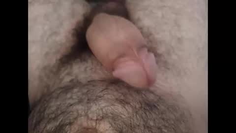 Snapshot of gearsub chatting on February 14, 2025, 4:37 am Gear Sub online show from February 14, 2025, 4:37 am