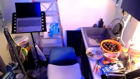 Snapshot of georgempt chatting on January 12, 2025, 7:42 pm georgempt online show from January 12, 2025, 7:42 pm