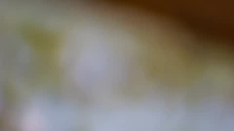 germanandy71 online show from November 20, 2025, 8:14 am