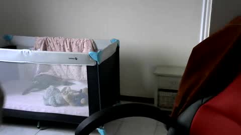 Snapshot of gh1952ma chatting on February 24, 2025, 7:55 am Gisse online show from February 24, 2025, 7:55 am