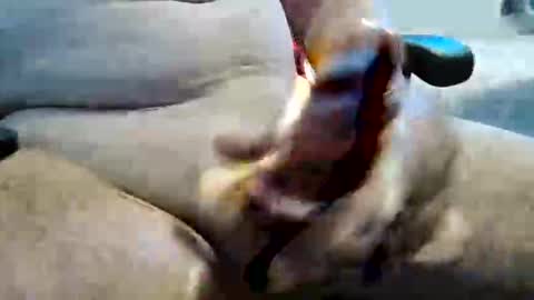 ghost1805 online show from November 10, 2025, 11:26 pm