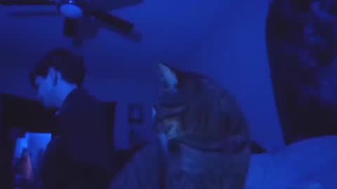 SrirachaSwitchblade  online show from November 13, 2025, 8:57 am