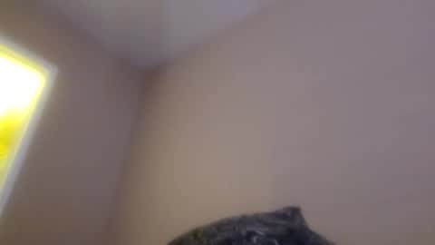 ghuntz22 online show from October 15, 2025, 12:16 pm