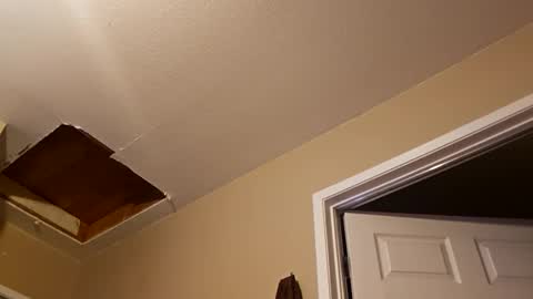 ghuntz22 online show from November 9, 2025, 10:13 am