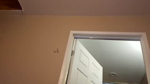 ghuntz22 online show from November 11, 2025, 10:04 am