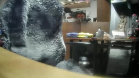 Snapshot of giovanne1 chatting on December 8, 2024, 6:22 am giovanne1 online show from December 8, 2024, 6:22 am