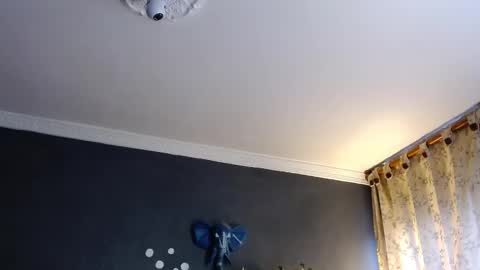 Snapshot of girge23 chatting on January 31, 2025, 8:54 pm piggy boy online show from January 31, 2025, 8:54 pm