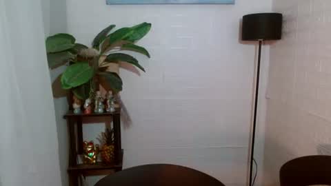 Snapshot of girlwhobelieveinmagic chatting on February 5, 2025, 9:46 am Callmenor online show from February 5, 2025, 9:46 am