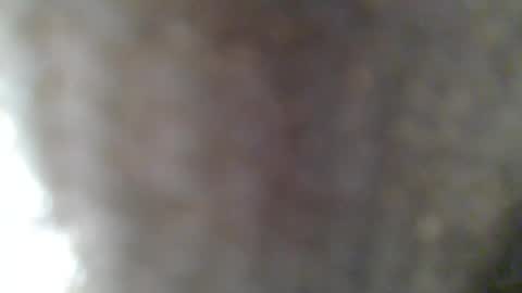 Snapshot of givr6inches chatting on February 25, 2025, 7:31 am e-Bizl online show from February 25, 2025, 7:31 am