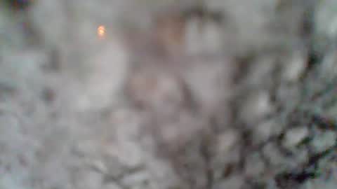 Snapshot of givr6inches chatting on March 7, 2025, 1:18 pm e-Bizl online show from March 7, 2025, 1:18 pm