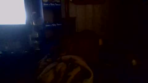 e-Bizl online show from November 2, 2025, 5:10 am