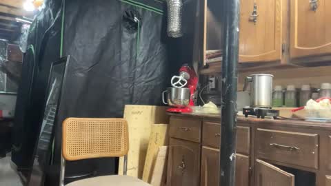 globalmovement online show from March 25, 2026, 7:31 pm