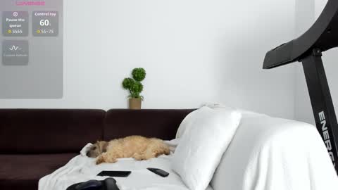 Alice online show from January 17, 2026, 10:35 pm