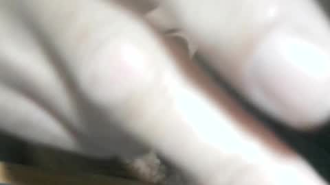 Snapshot of glyder1961 chatting on November 14, 2025, 3:33 pm Glyder online show from November 14, 2025, 3:33 pm