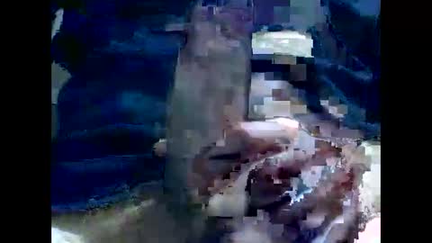 Snapshot of gmjavenger chatting on December 2, 2024, 8:30 am PencilDick online show from December 2, 2024, 8:30 am