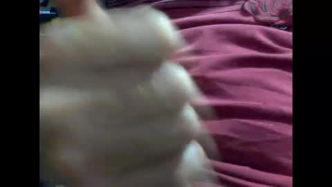 Snapshot of gmjavenger chatting on February 9, 2025, 8:54 am PencilDick online show from February 9, 2025, 8:54 am